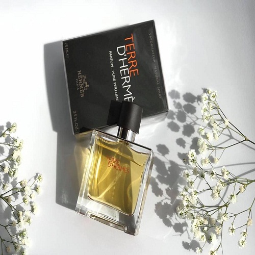 Nước hoa HERMES Terre Parfum 75ml