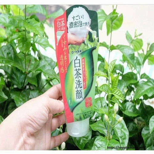 Sữa Rửa Mặt Trà Xanh Rohto Shirochasou Green Tea Foam